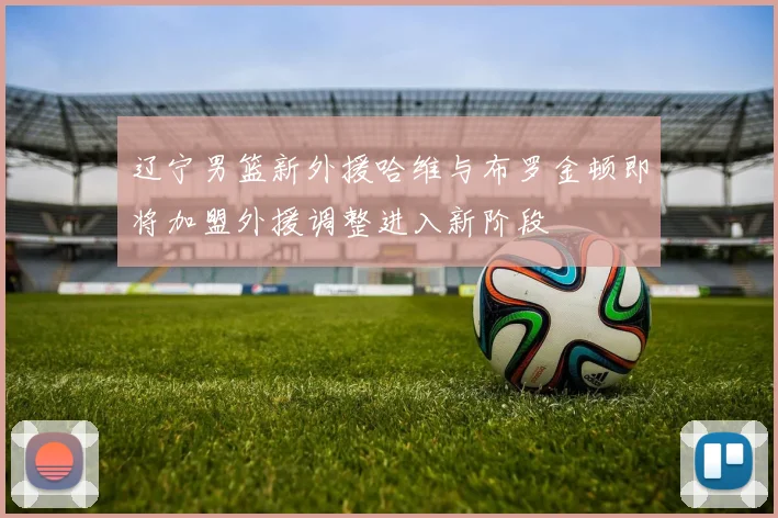 辽宁男篮新外援哈维与布罗金顿即将加盟外援调整进入新阶段
