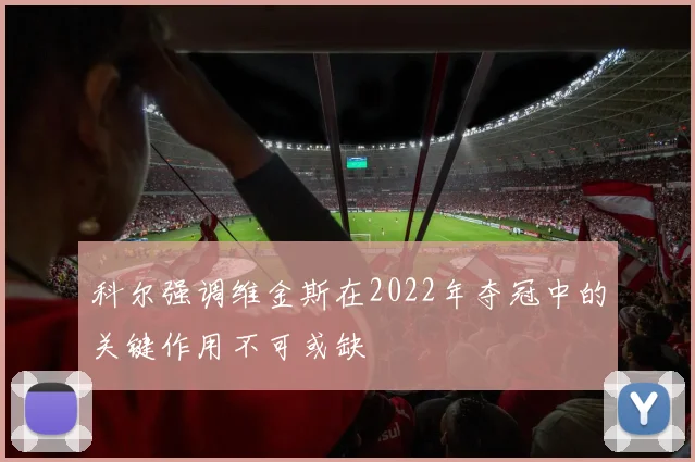 科尔强调维金斯在2022年夺冠中的关键作用不可或缺